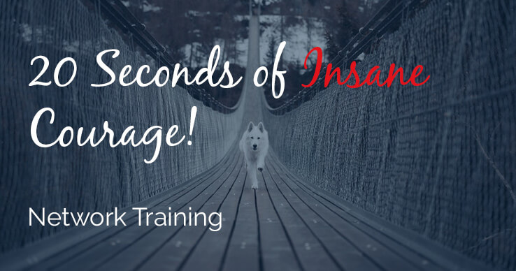 insane courage network marketing training